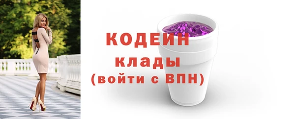 хмурый Вязьма